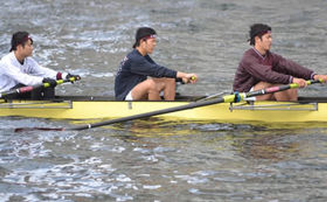 真はがきセット