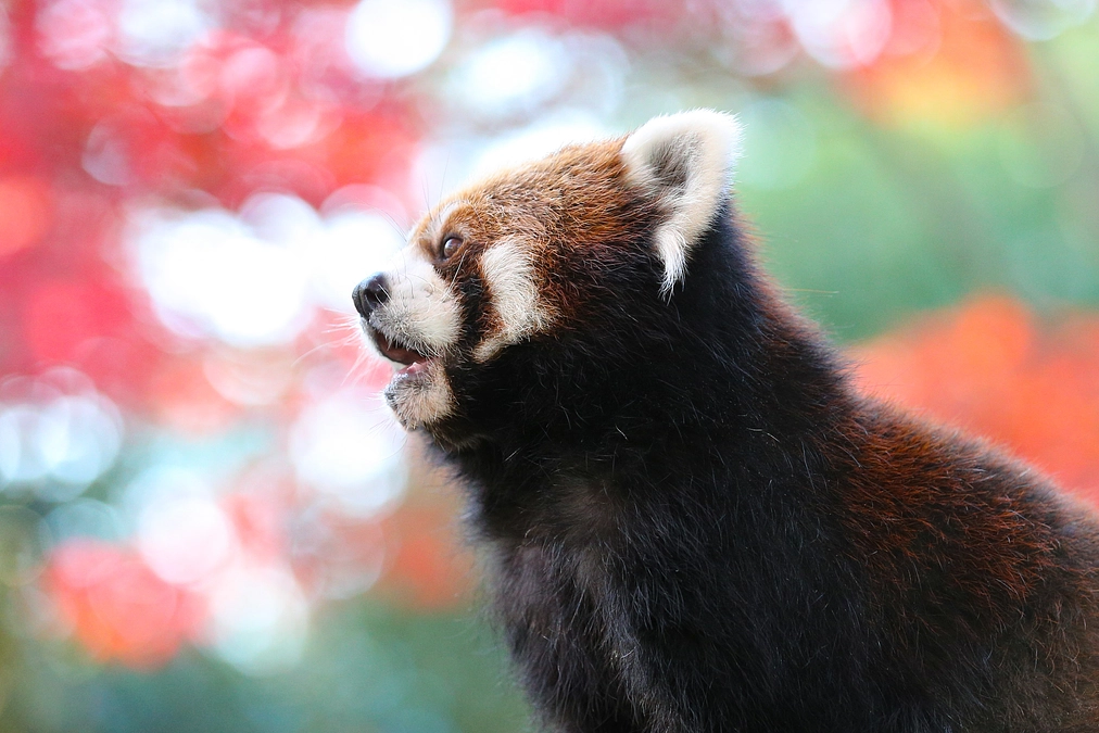 2月29日(木) 本日最終日！ 進捗報告1回目