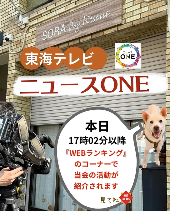 本日夕方17時以降 東海テレビの【ニュース ONE】で当会の活動が放送されます！！