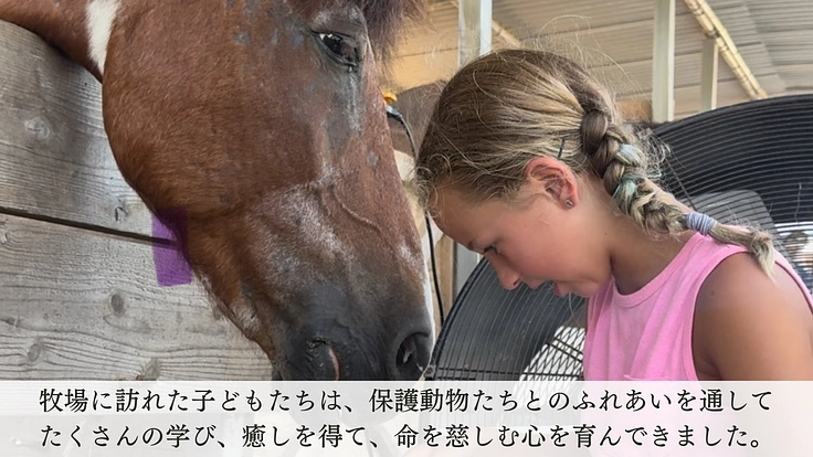 動物たちが安全に暮らせるように。沖縄の保護牧場「ちゅらん」再建へ！ 4枚目