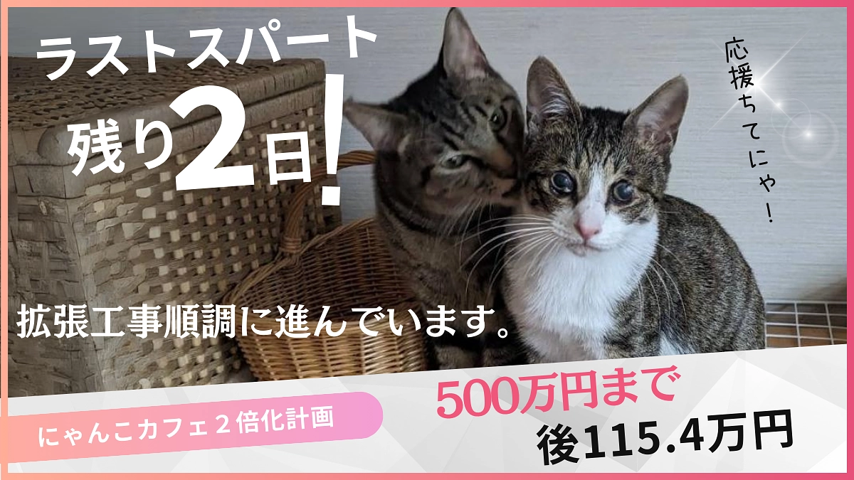 【現在384,6万】拡張工事完成間近！順調に進んでいます。
