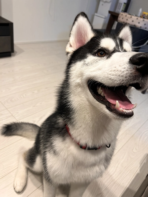 残り11日です…