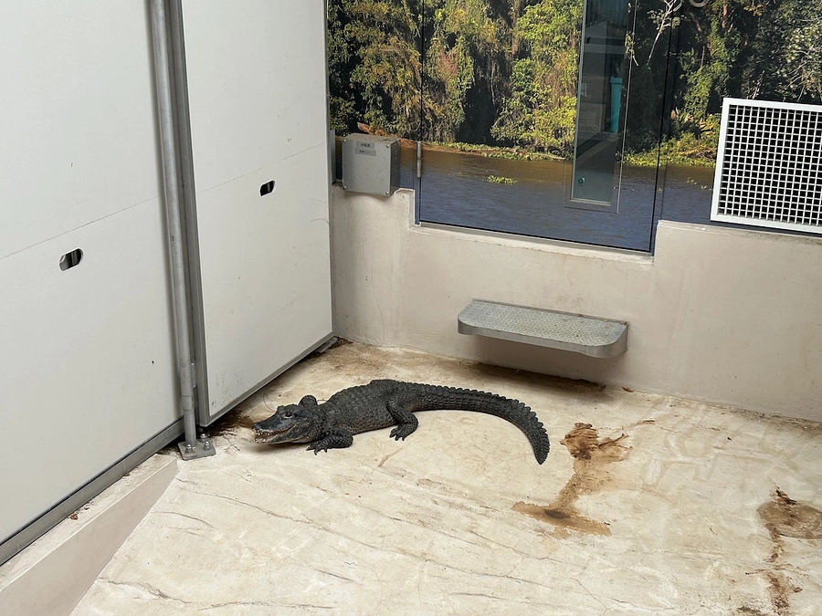 冬の関東訪問記