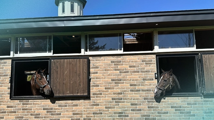 より多くの引退馬の幸せな余生を願う｜ヴェルサイユ新厩舎プロジェクト 3枚目