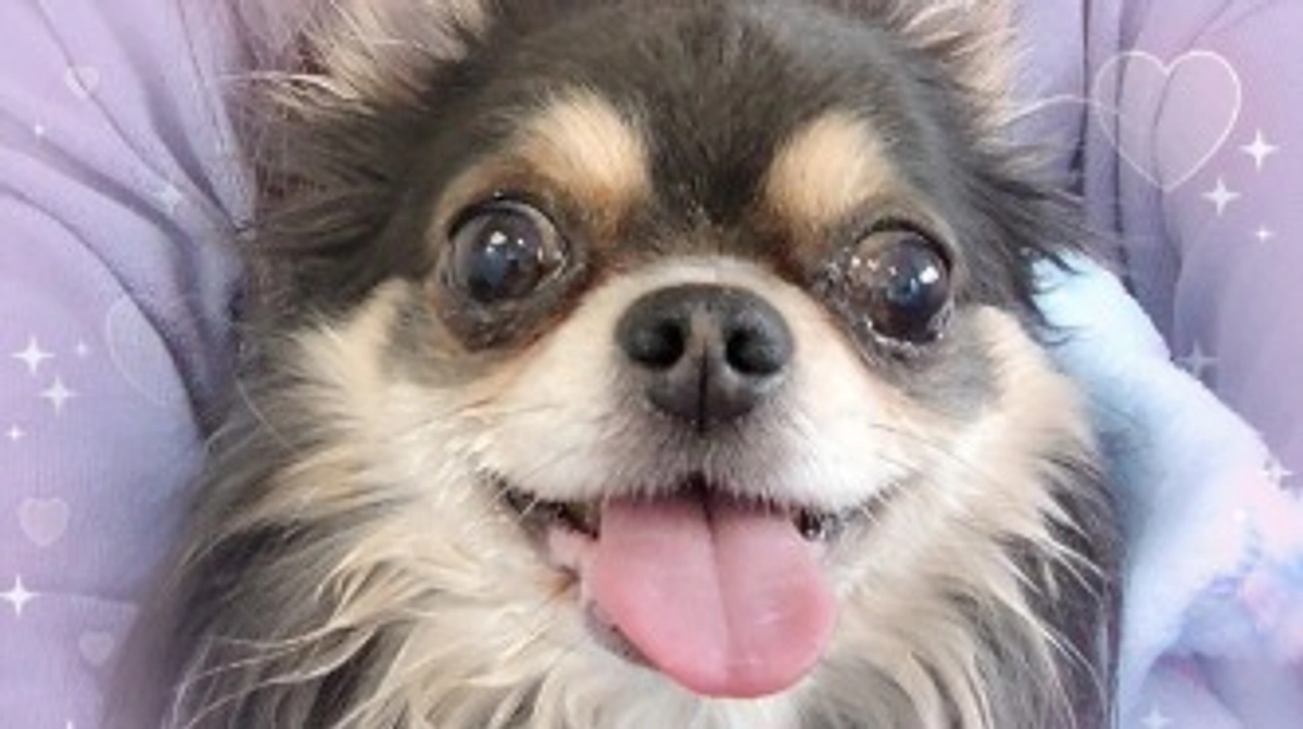 昨日、退院しました🍀