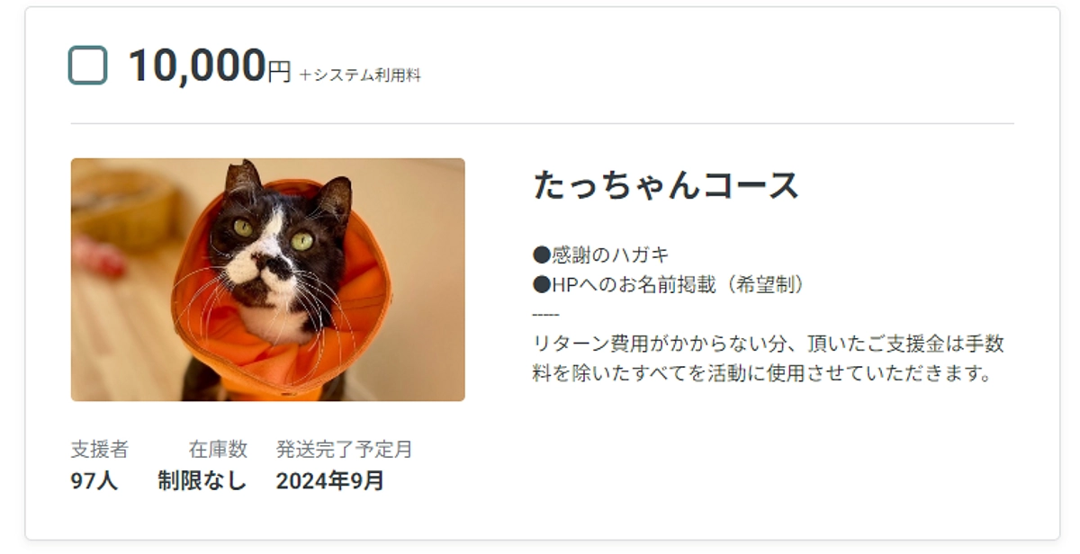 【終了まであと4日！ 】日々のシェルター