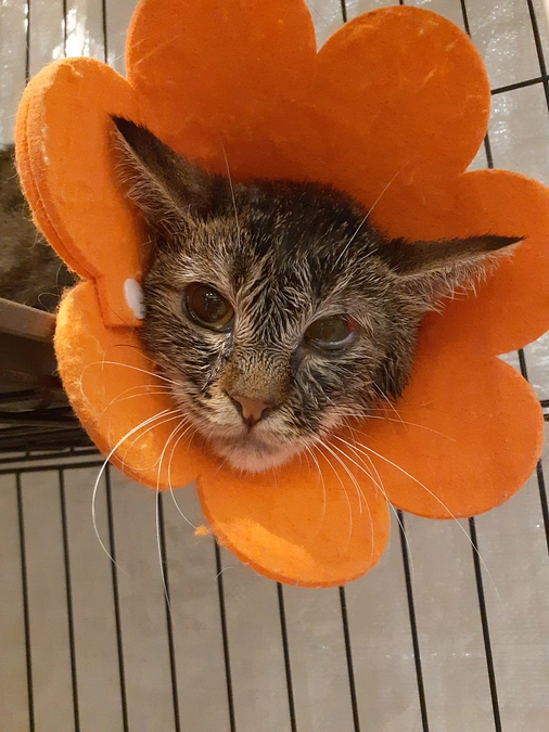 直近の報告と予定