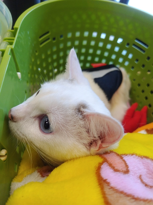 受診に行ってきました！