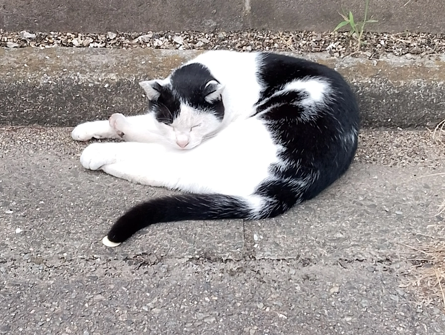 かなりハードな出来事が多かったです。