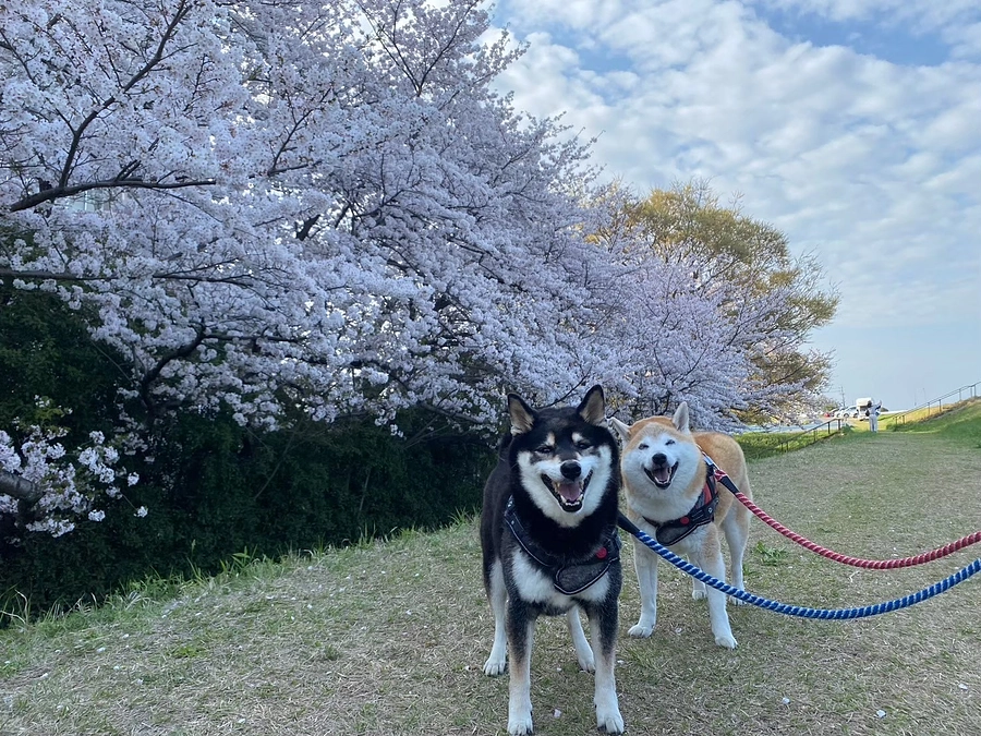 みなさまに心から感謝いたします。