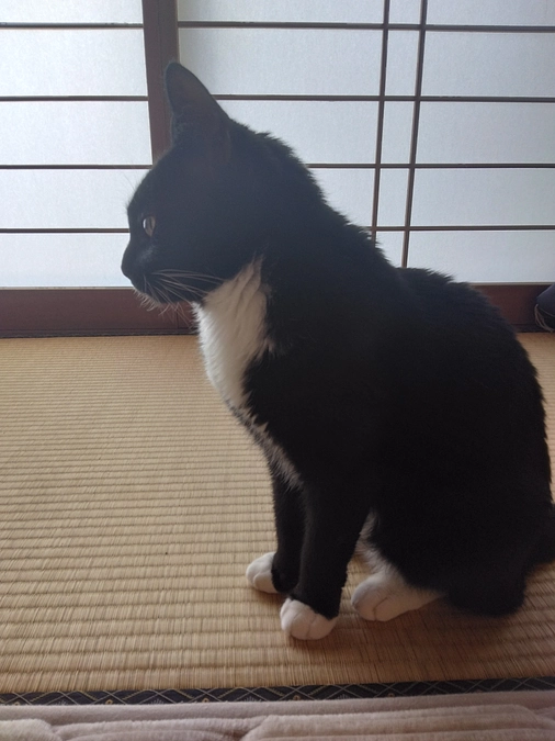 5/8はなちゃんの様子