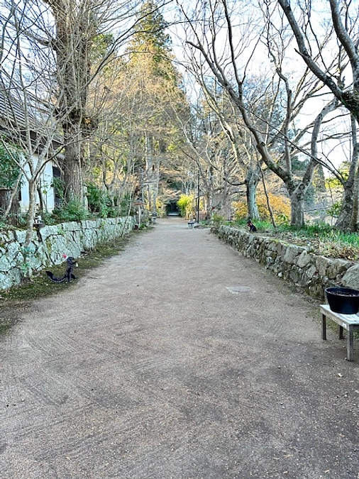 木々も春に向けて力を蓄えているようです。