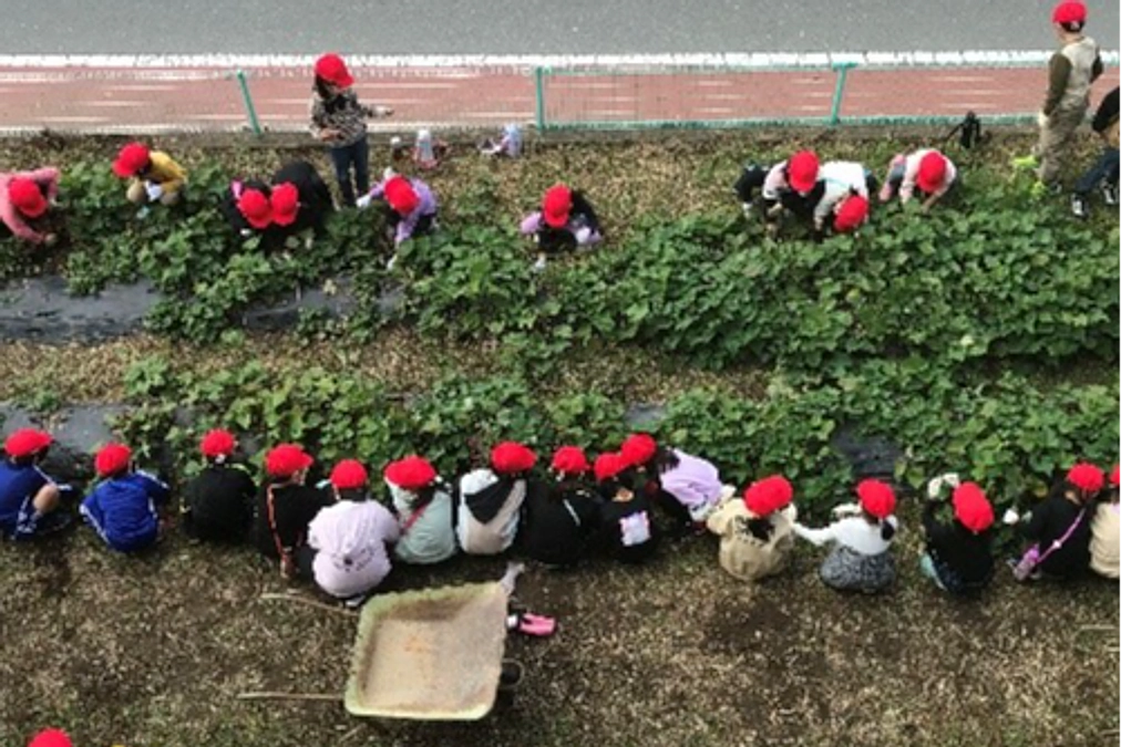 2025年助成先の紹介（6）ゆうき給食つくり隊