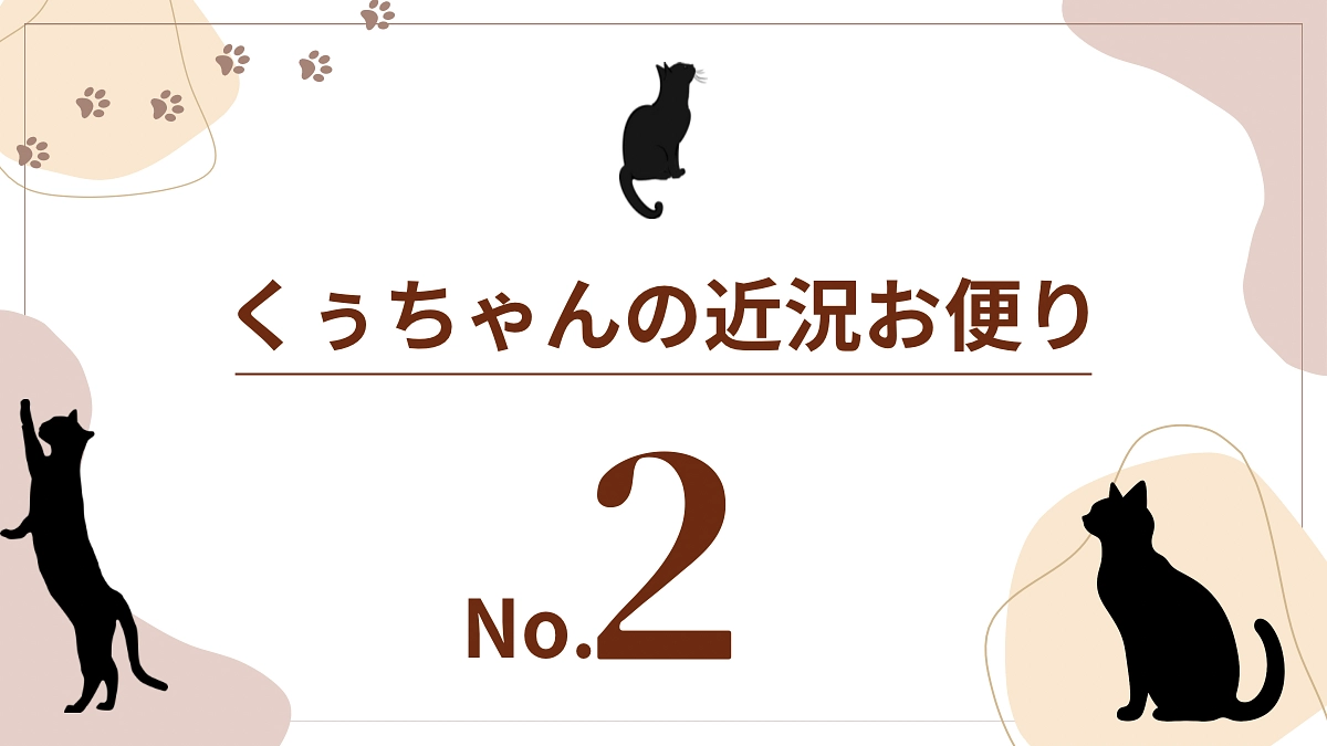 くぅちゃんの近況おたより💌