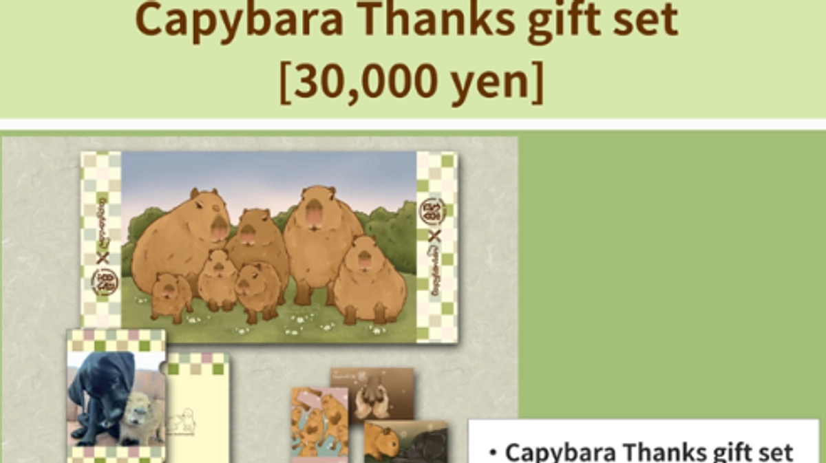 【addition】Capybara Thanks gift set　※英語のお知らせです。