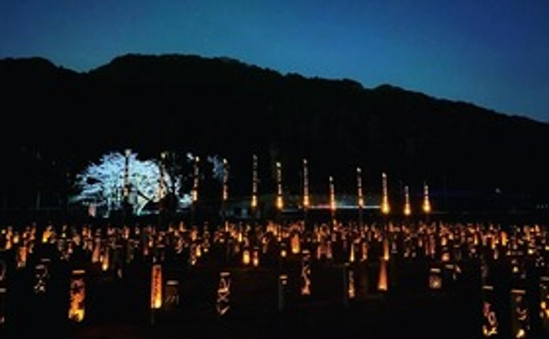 感謝のお礼メール 竹灯りを点灯出来る権利 竹灯りイベント動画データ