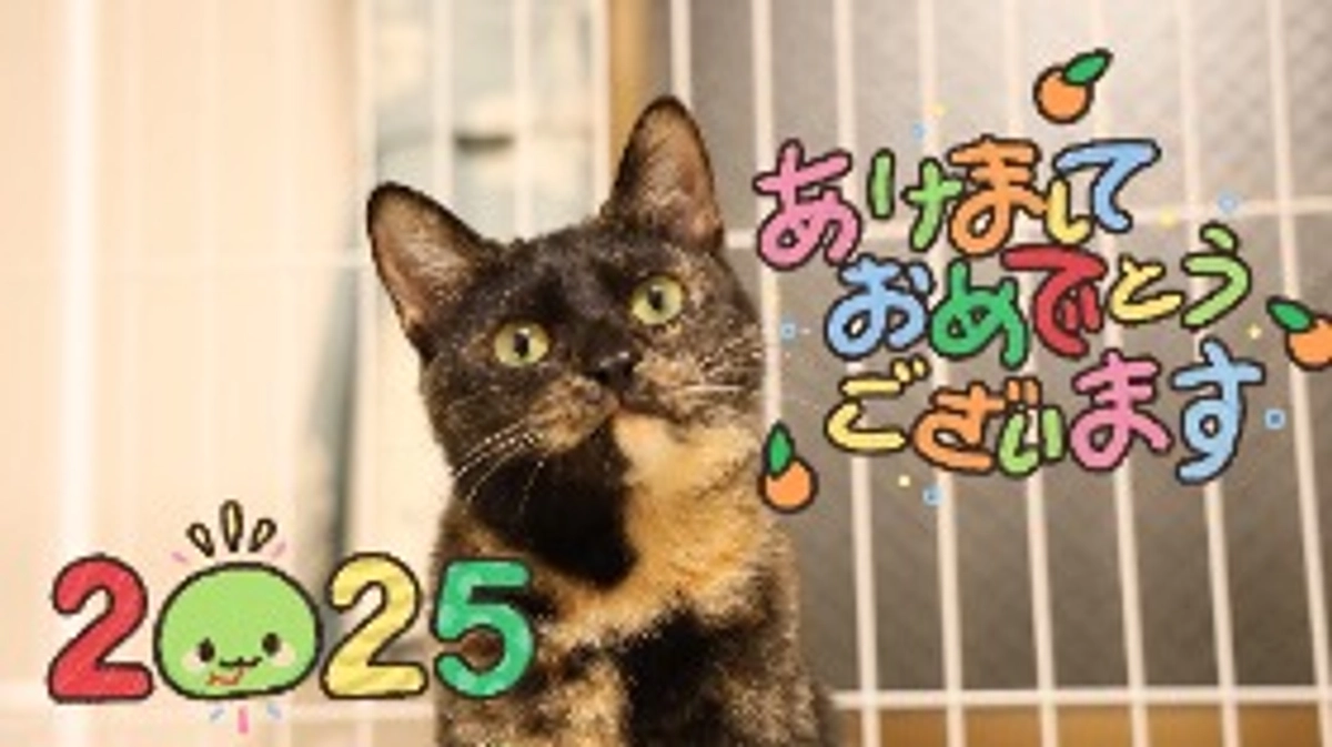 本年もどうぞ宜しくお願い致します。