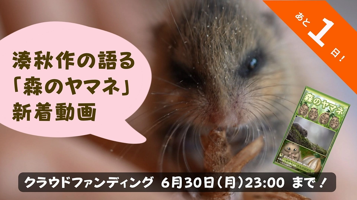 🌿 湊秋作が語る「ヤマのおはなし」第2弾公開！