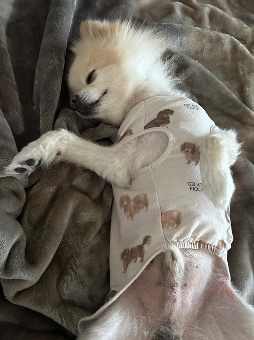 45/59 ☆ 起きたくない