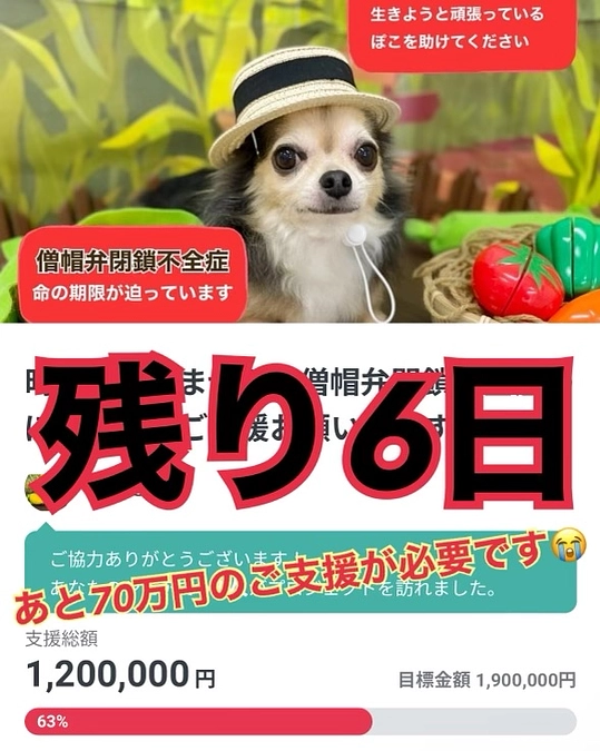 ここまで支えていただいた皆様に感謝の気持ちとお願い