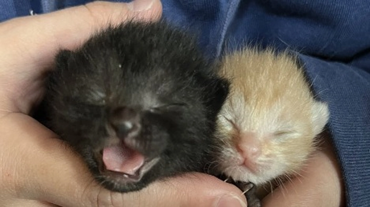 今年の4月、我が家で初めての出産