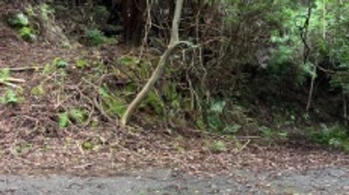 7/1(月)活動報告