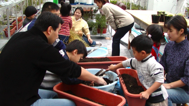 自分でつくる！桑の苗を使った、障がい者や高齢者のいきがいを