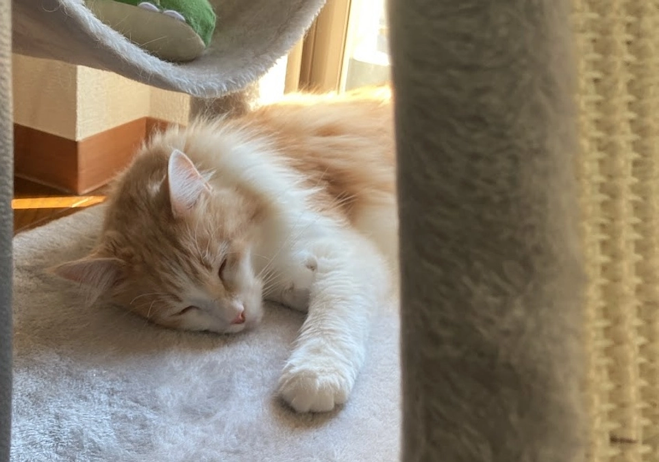 2/2経過観察79日目