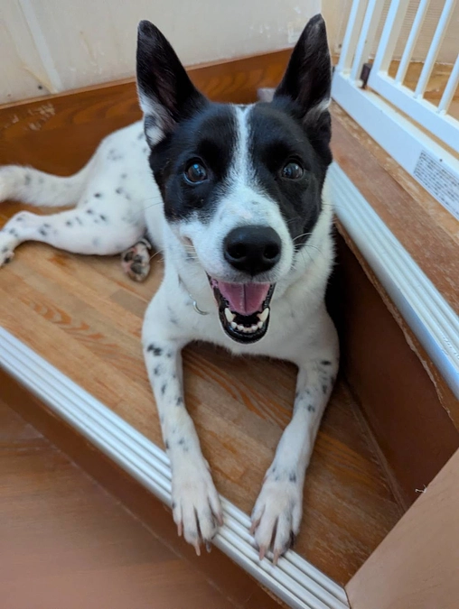 BS ASAHIのオンエア日が公開されました！