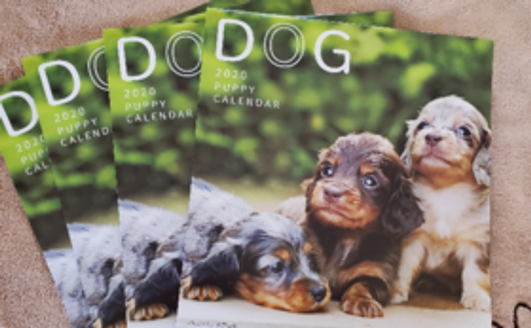 【フェアリーコース】サンクスレター&車体にお名前記載&カレンダー