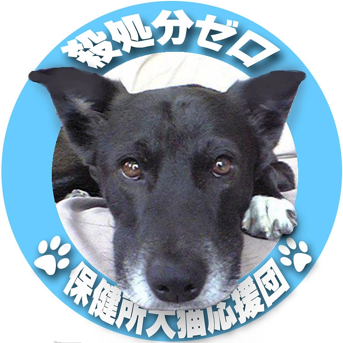 【開始から10日】これまでのお礼と応援いただいたコメント紹介