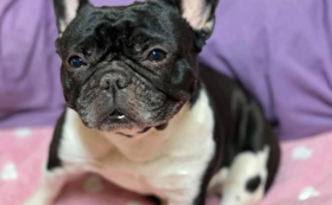 サンクスメール