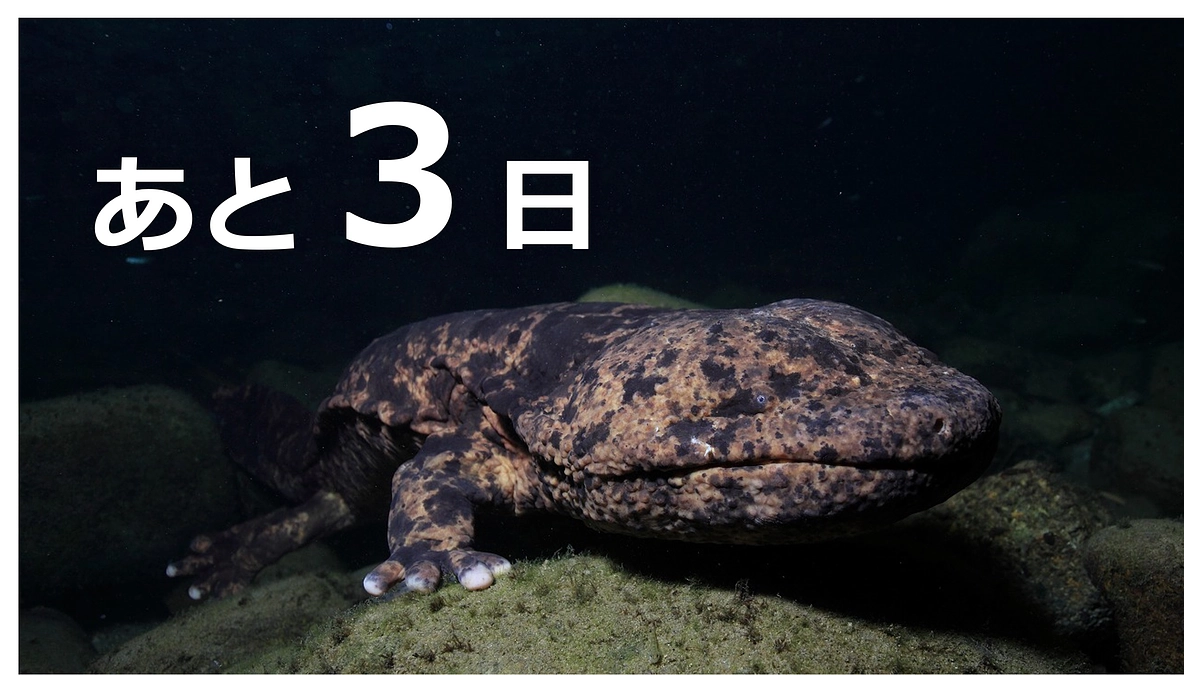 終了まであと3日