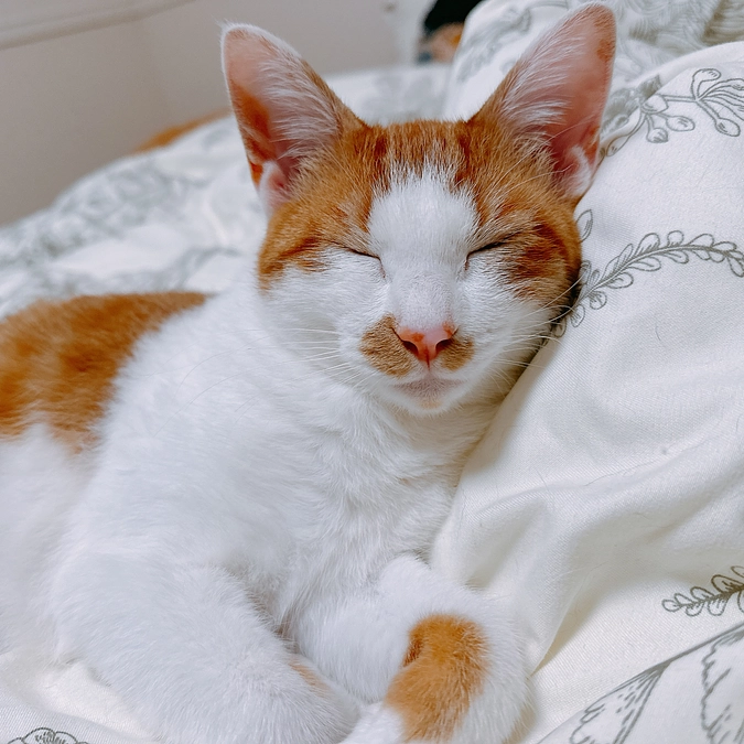 たくさんのお心遣い、本当にありがとうございました…！