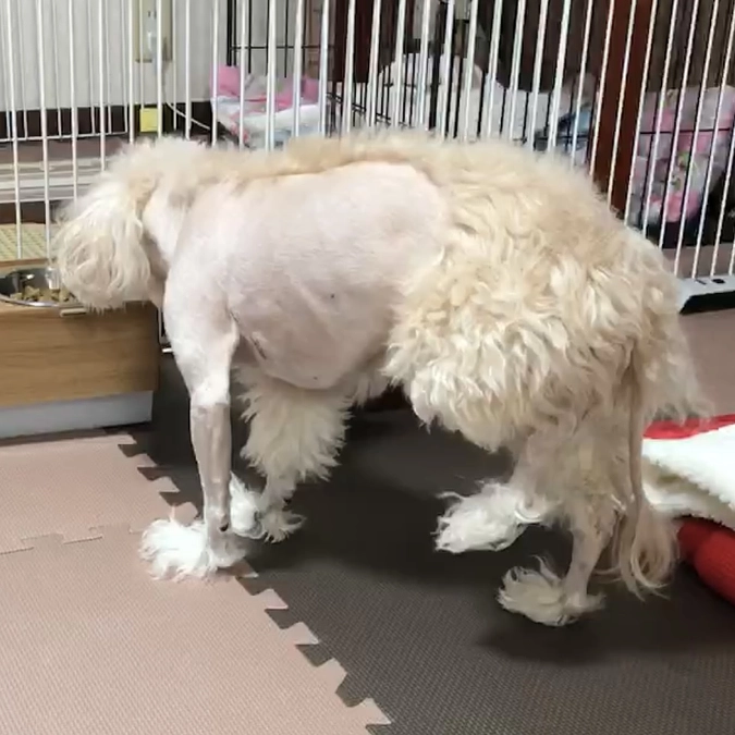 術後13日目で姫芽の様子が…