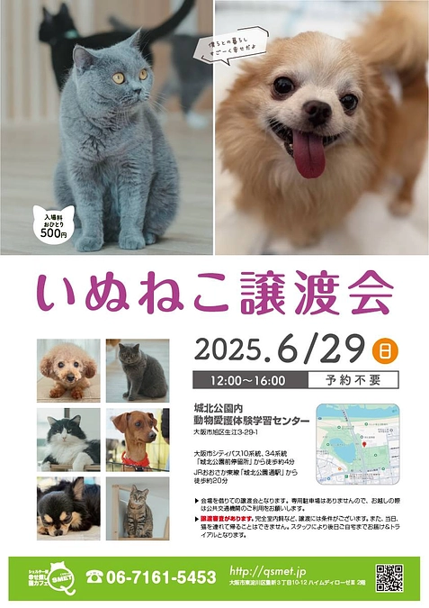 会場が広いことから半分に仕切りわんことにゃんこの譲渡会を開催します。
