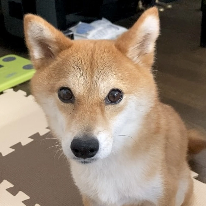 あと【10日】です