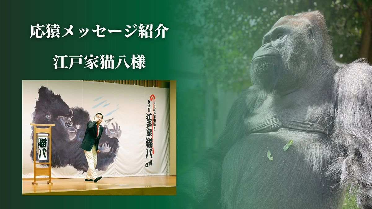 【クラファン活動報告㉗】江戸家猫八様より、応猿メッセージをいただきました！