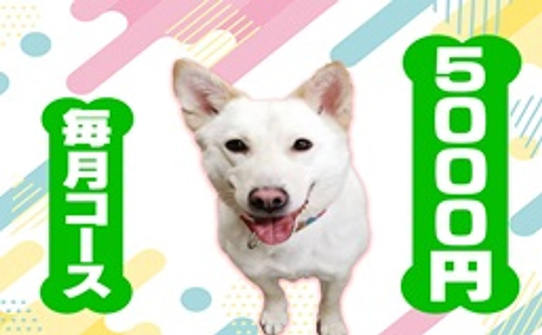 毎月5000円コース