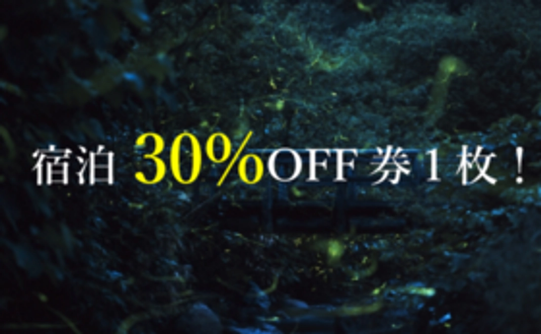 宿泊1回30%OFF券1枚コース