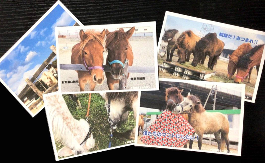 全力応援コース 5千円