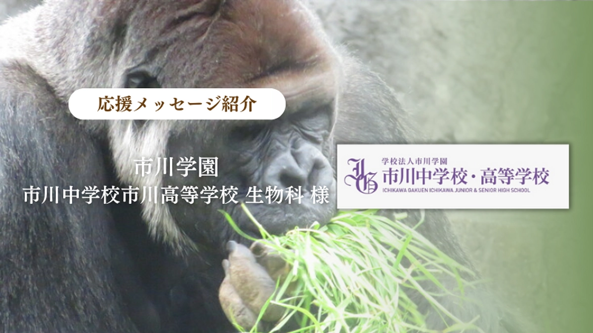 学校法人市川学園 市川中学校市川高等学校 生物科様からの応援メッセージのご紹介