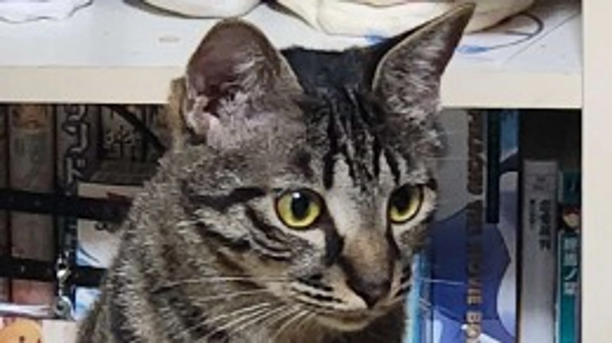 クラウドファンディングまで残り１９日💦