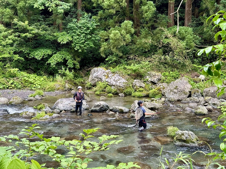 少しずつデータをまとめています2