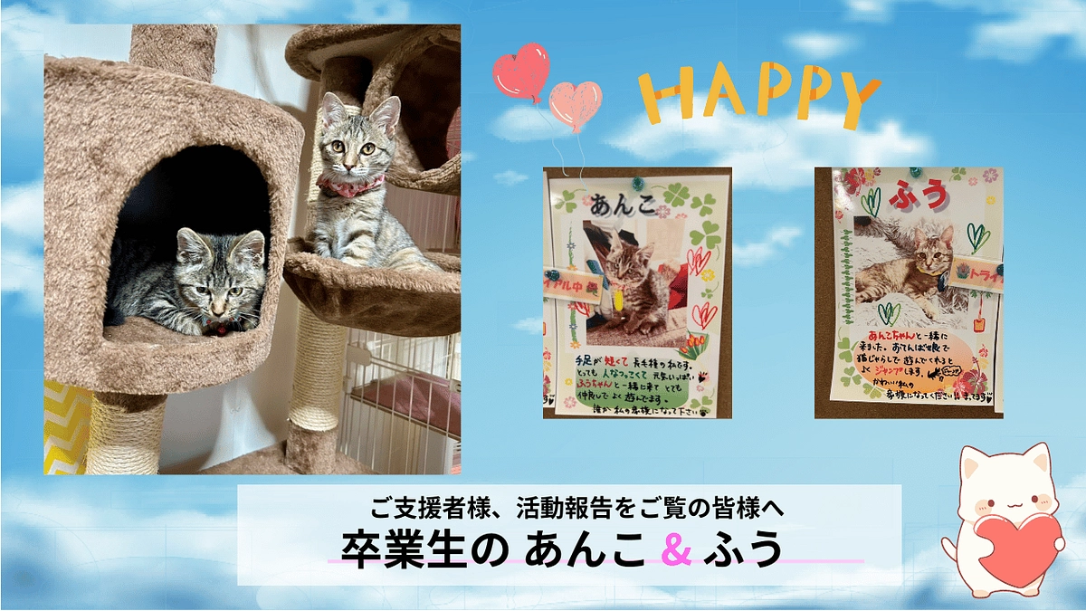 活動報告No.4｜2024/1/26｜ふう、あんこ、新しい家族のもとへ