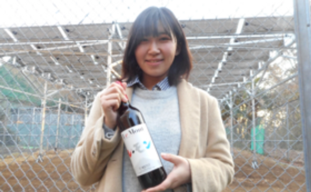 白百合醸造ワイン1本