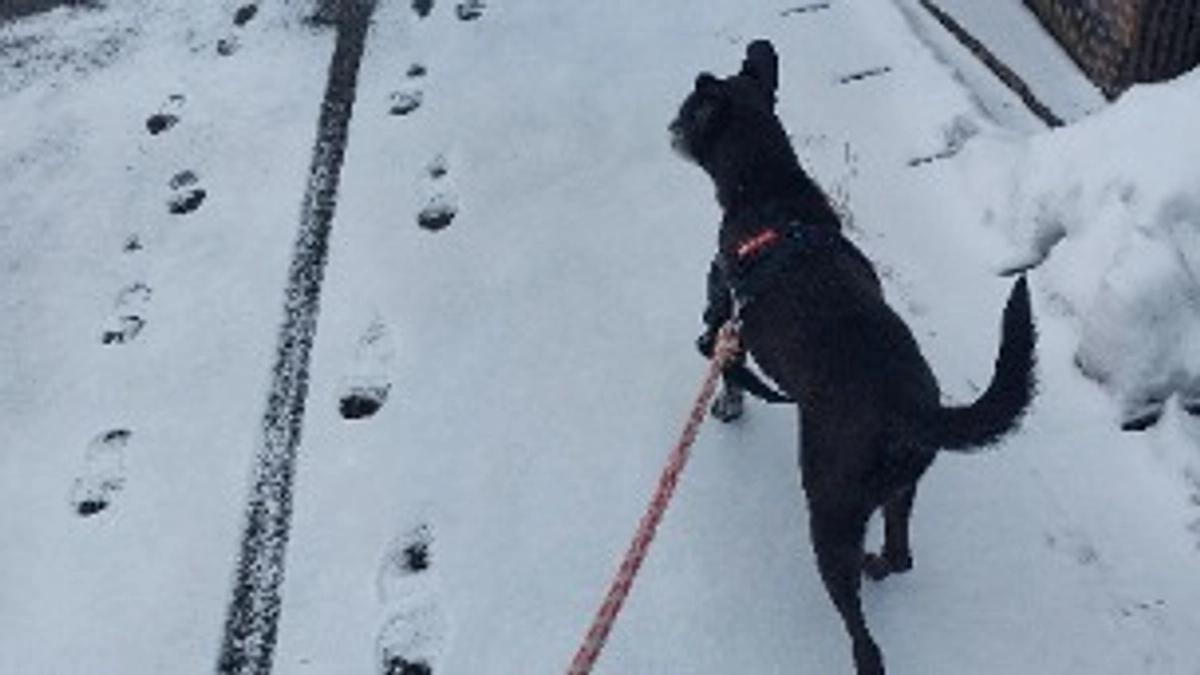 残り4日になりました