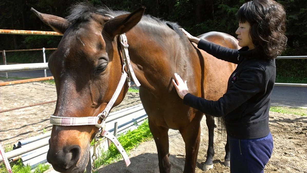 【あと３日！700万円突破！！】❝触馬❞があったっていいじゃない