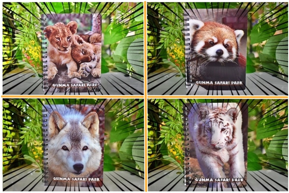 1月7日(日) 進捗報告・返礼品紹介〜3Dメモ帳2冊＋ガラスマグネットセット〜