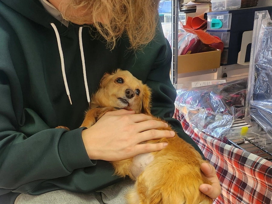 人生のパートナーとしてお互いが支え合う関係を作る。DOG DUCAの「マッチング譲渡」へのこだわり